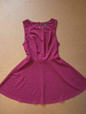 Magenta Sleeveless Fit & Flare Mini Dress